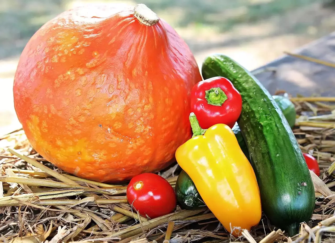 Making the Most of Seasonal Produce: A Guide to Fall Vegetables
